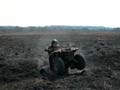Квадроцикл в поле Квадроцикл в поле