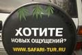 Трава 