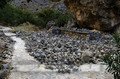 Камушки