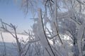 Зимняя сказка Зимняя сказка