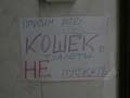 Объява! 